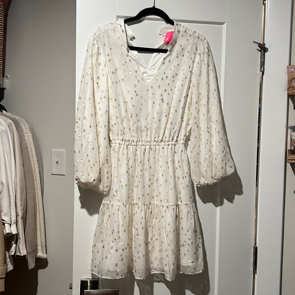 COPY - Lilly Pulitzer dress